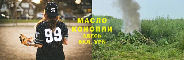 мдпв Елабуга