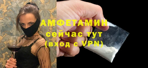 мдпв Елабуга