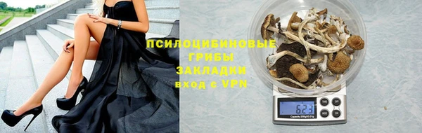 мдпв Елабуга