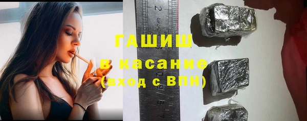 мдпв Елабуга