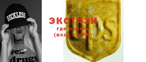 мдпв Елабуга