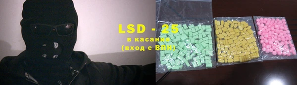 мдпв Елабуга