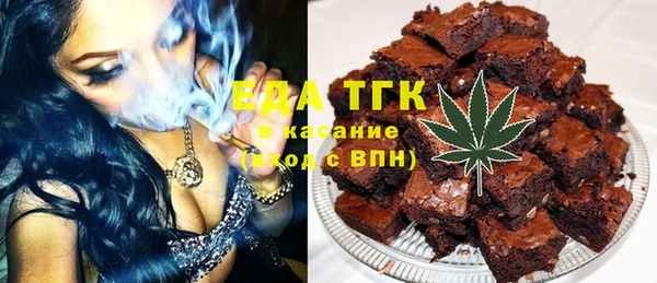 мдпв Елабуга