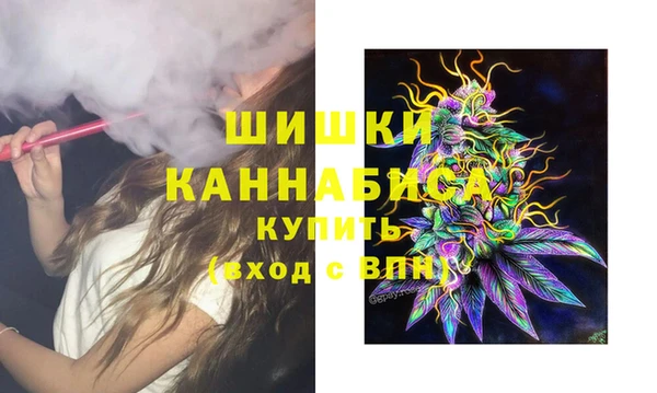 мдпв Елабуга