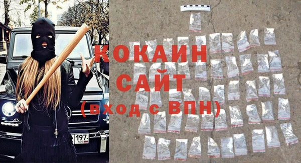 мдпв Елабуга