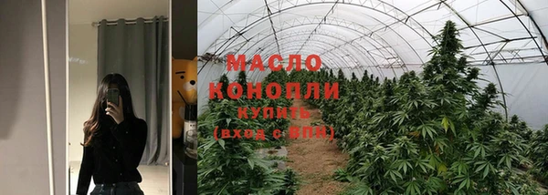 мдпв Елабуга