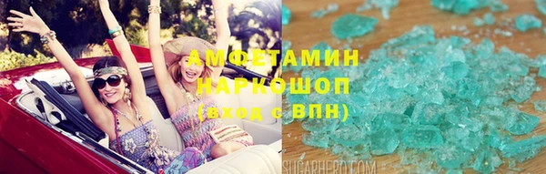 мдпв Елабуга