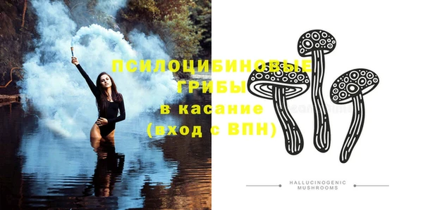 мдпв Елабуга