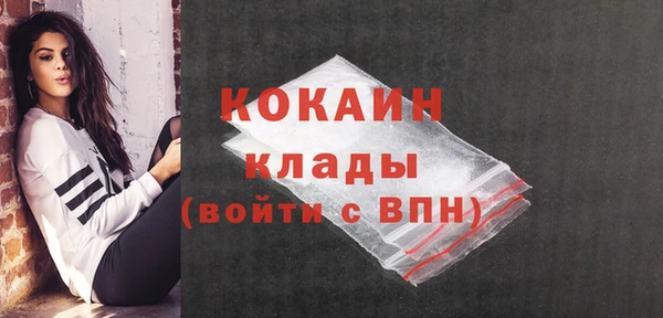 мдпв Елабуга